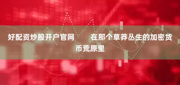 好配资炒股开户官网        在那个草莽丛生的加密货币荒原里